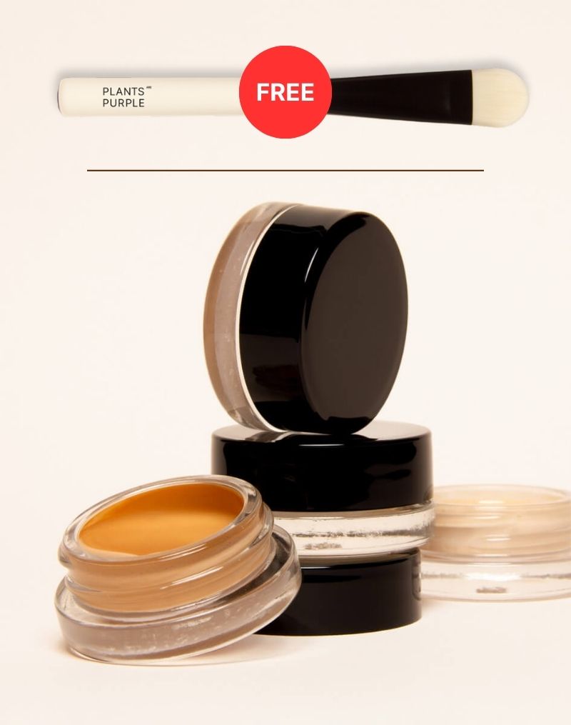 Wonder Foundation Muster Set + Make Up Pinsel