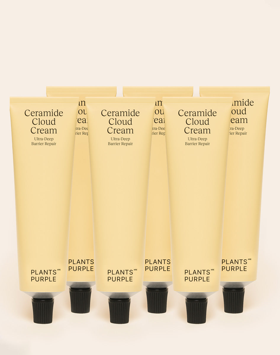 Ceramide Cloud Cream 6er Bundle